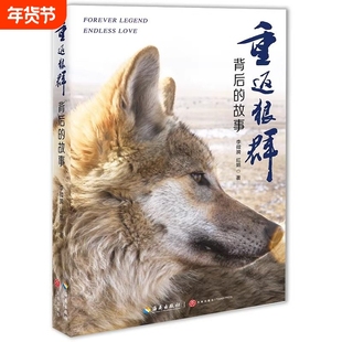 【官方正版现货】重返狼群背后的故事 李微漪 红娟 著 一部人狼情未了的旷世传奇难以割舍恒以在怀的牵挂 探寻人与自然和谐之道