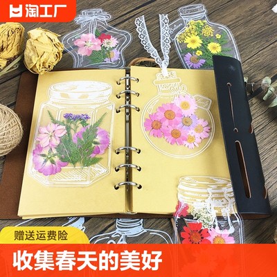 创意刺绣干花书签手工diy材料标本塑封膜透明压花瓶子工具古风国风自制书法小学生押花花瓣鲜花礼物植物树叶