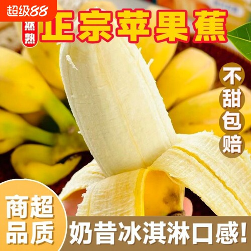 广西苹果蕉当季新鲜|千人加购