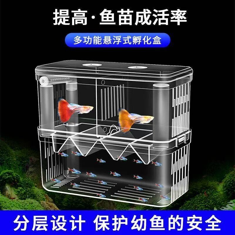 孔雀鱼孵化器繁殖离盒 小型鱼鱼母鱼生小鱼幼鱼下崽 鱼宝宝斗隔