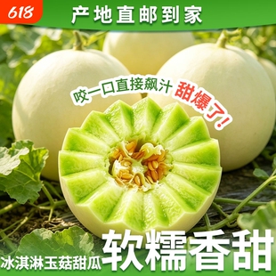 甜瓜玉菇新鲜水果整箱包邮应当季山东蜜瓜香瓜冰淇淋白瓜9斤现摘
