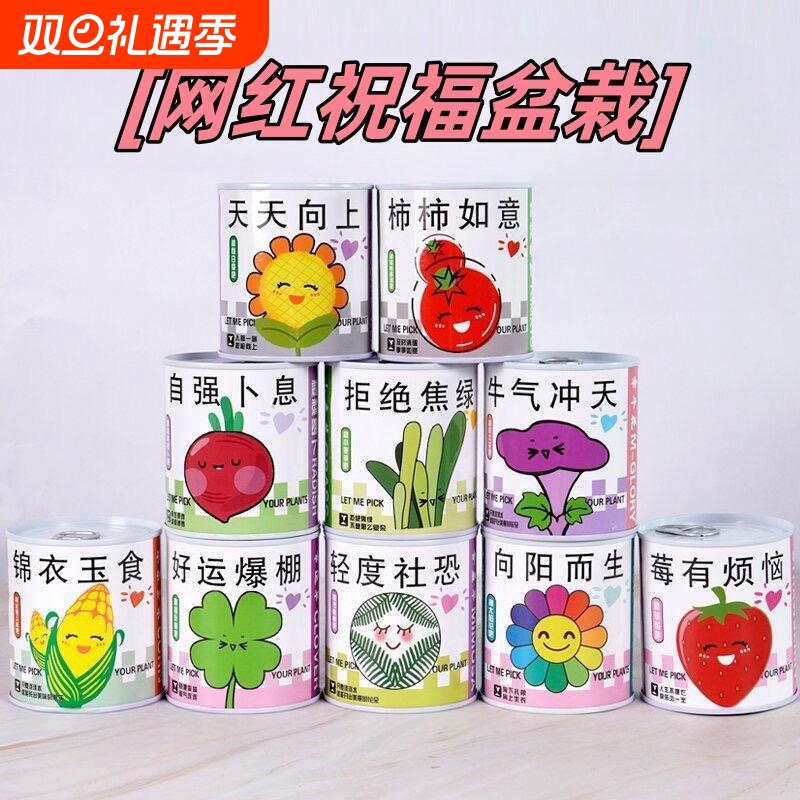 儿童罐头植物神奇桌面迷你绿植好养创意小盆栽种植草莓向日葵种子