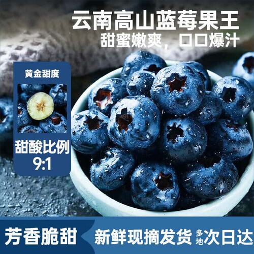 云南花香蓝莓L25高山蓝莓12盒装