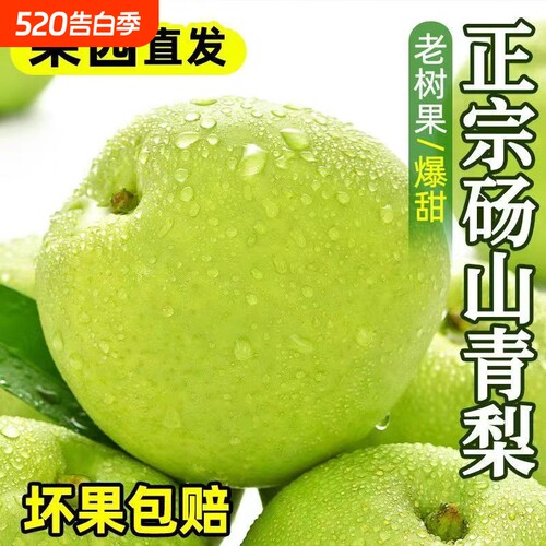 砀山青梨安徽新鲜水果正宗当季皇冠翠玉梨时令9斤青皮梨梨子现摘