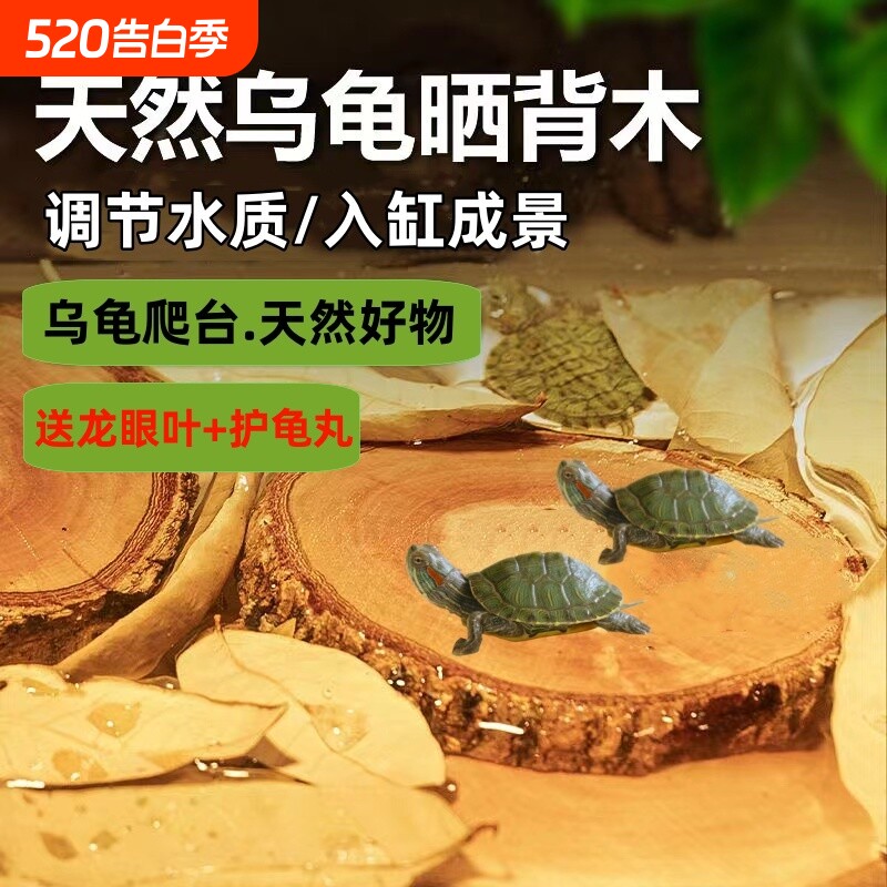 乌龟晒背台龙眼木爬台高水位天然防腐烂甲造景摆件沉木龟缸养龟