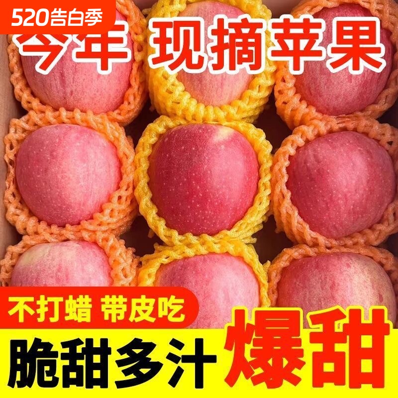 现摘高原红富士苹果当季应季新鲜水果脆甜冰糖心丑苹果整箱批发价