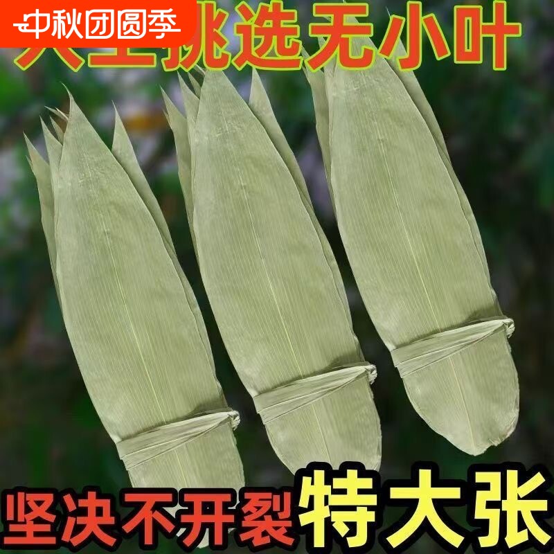 粽叶新鲜大号棕叶干包粽子的叶子天然野生竹叶粽绳箬叶粽子叶图片