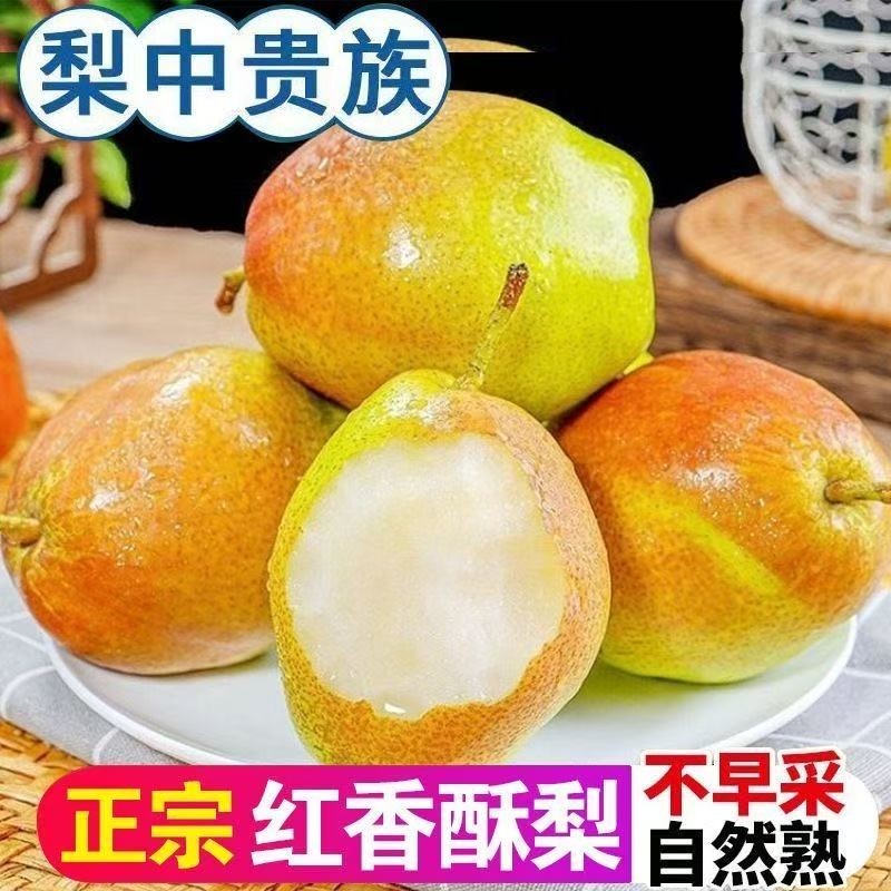 山西运城红香酥梨现摘现发新鲜薄皮香梨整箱特价当季应季水果,水产肉类/新鲜蔬果/熟食,梨,淘宝优惠券,粉丝福利购,淘宝优惠卷