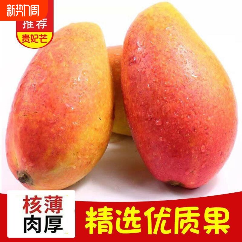 正宗海南贵妃芒芒果新鲜当季彩虹多汁产地直发大果贵妃芒果一整箱