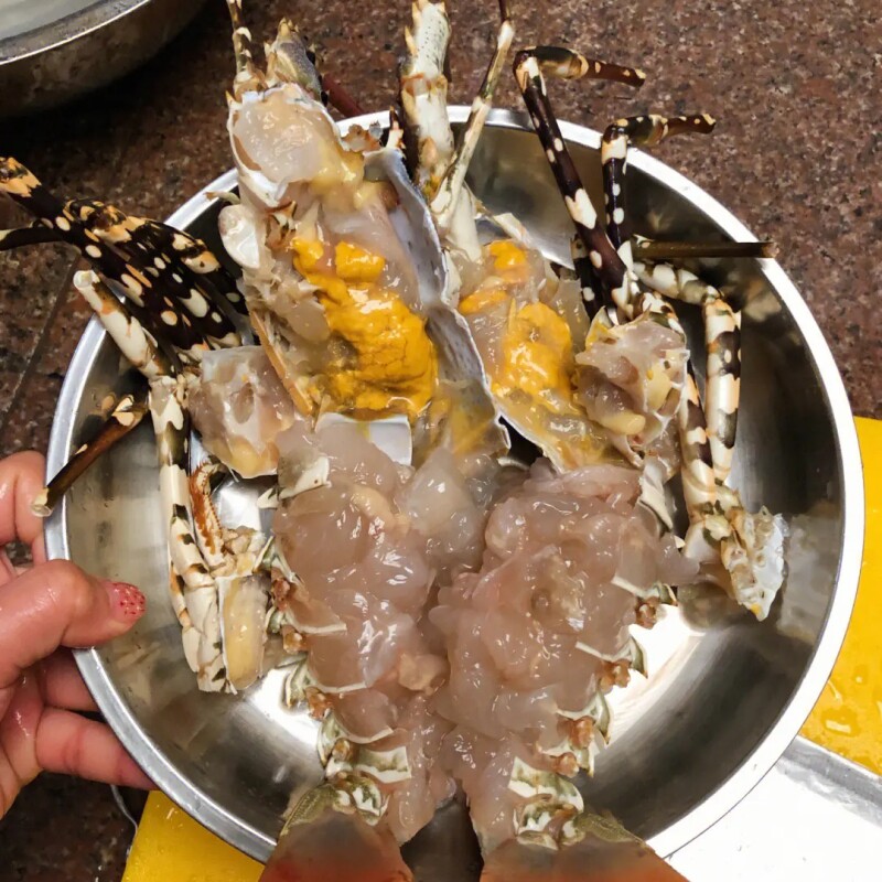 探味岛【顺丰包邮】海捕新鲜小青龙小龙虾鲜活冷冻花龙澳龙大青龙