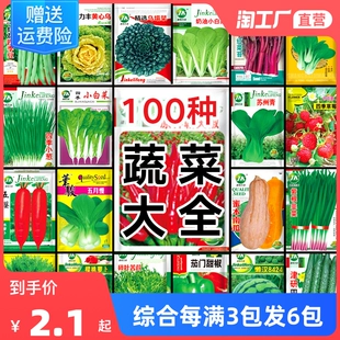 蔬菜种子四季 播阳台盆栽庭院香菜萝卜小葱白菜菠菜西瓜种籽孑大全