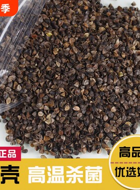 免洗荞麦皮散装颗粒特级优质10斤方枕头的填充物枕芯甜荞麦壳赤峰