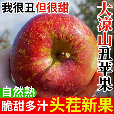 正宗大凉山冰糖心丑苹果