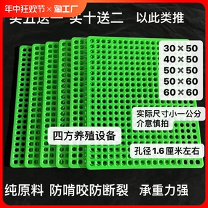 兔笼脚垫漏粪板兔子底板兔用漏粪板绿色圆孔底板脚垫防啃咬防脚癣