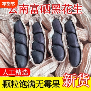 云南黑花生种子富硒黑皮带壳官方旗舰店晒干好吃健康袋装花青素