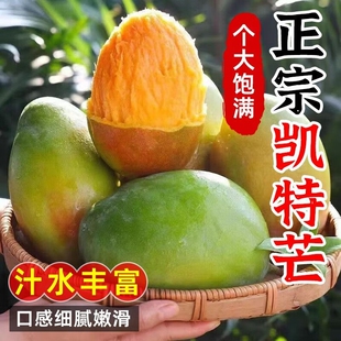 攀枝花凯特芒芒果当季新鲜水果当季四川米易大芒果甜青皮大澳芒