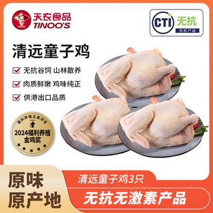 天农清远土鸡童子鸡生鲜整只90天无激素无抗农家散养新鲜走地鸡肉