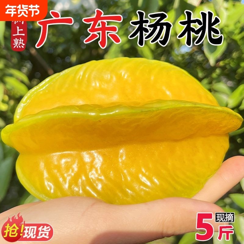 应季水果广东茂名正宗杨桃新鲜当季鲜甜孕妇整箱批发价树上熟现摘,水产肉类/新鲜蔬果/熟食,杨桃,淘宝优惠券,粉丝福利购,淘宝优惠卷