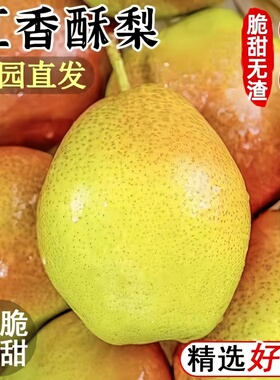 正宗红香酥梨头茬当季现摘香梨青梨子脆甜特产新鲜水果整箱包邮