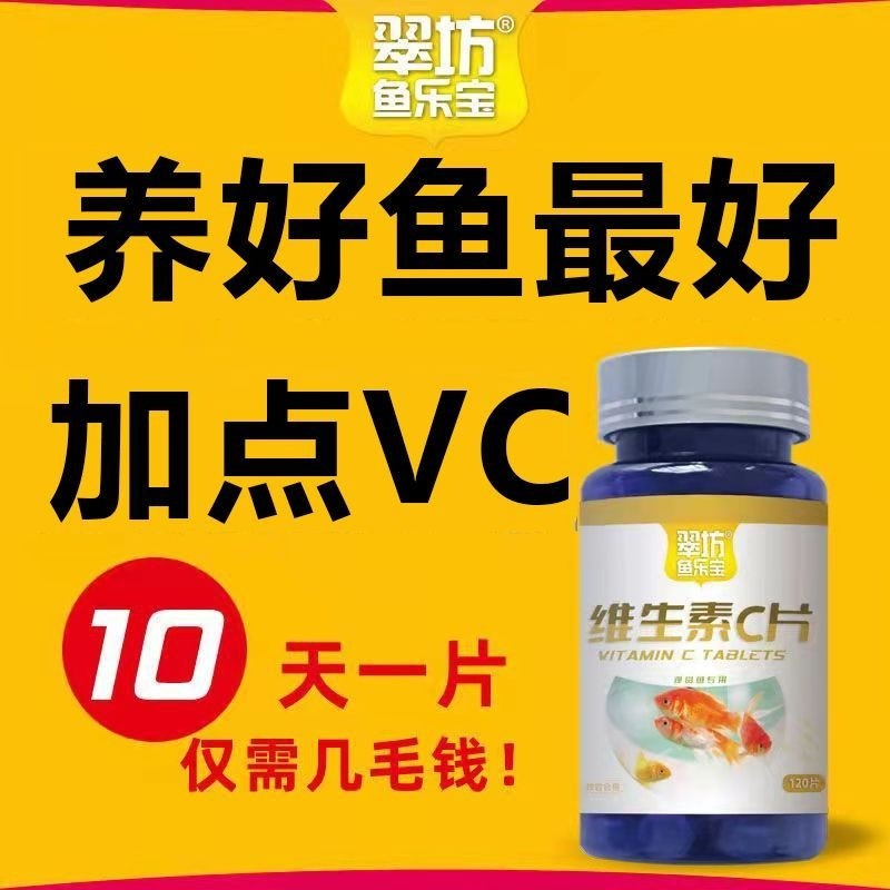 鱼用维生素VC抗应激换水营养不伤鱼低温通用观赏冷水鱼益生菌