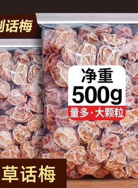 新货九制话梅干话梅子干蜜饯果脯梅类酸甜话梅粒孕妇开味解馋年货