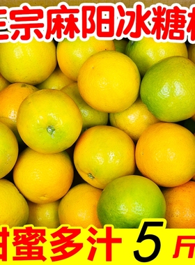 一级正宗湖南麻阳冰糖橙5斤包邮新鲜橙子当季整箱柑手剥甜橙现摘