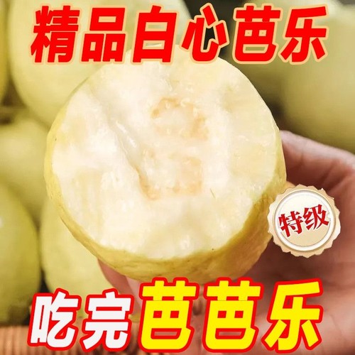 福建软糯软心奶油芭乐水果软白番石榴应当季新鲜白心老树红心