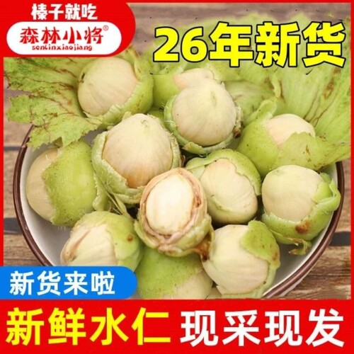 2026年新鲜水瓤水仁去皮生榛子东北大榛子现摘现发榛子坚果新鲜