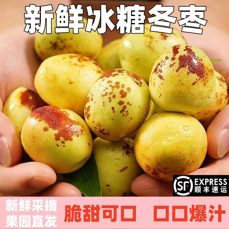 顺丰包邮正宗冬枣新鲜大果应季整箱枣子现摘脆枣冰糖大枣当季水果
