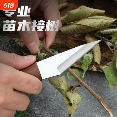专业果树芽接刀|超1000次加购
