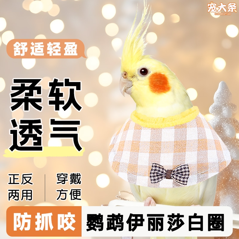 鹦鹉伊丽莎白圈保护项圈牡丹玄凤和尚防啄毛鸟用防啃咬毛脖套头套