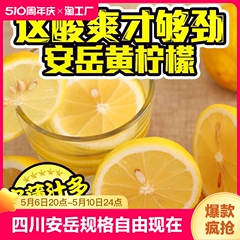 四川安岳黄柠檬多规格自由选柠檬批发柠檬当季柠檬