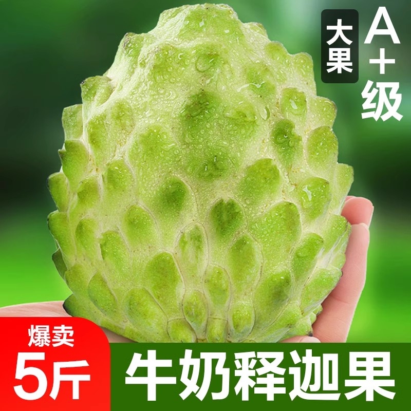 释迦果水果新鲜现摘应季当季凤梨牛奶番荔枝整箱佛头果