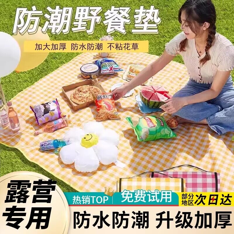 野餐垫防潮垫加厚户外野炊野营沙滩帐篷地垫春游坐垫防水草坪垫子
