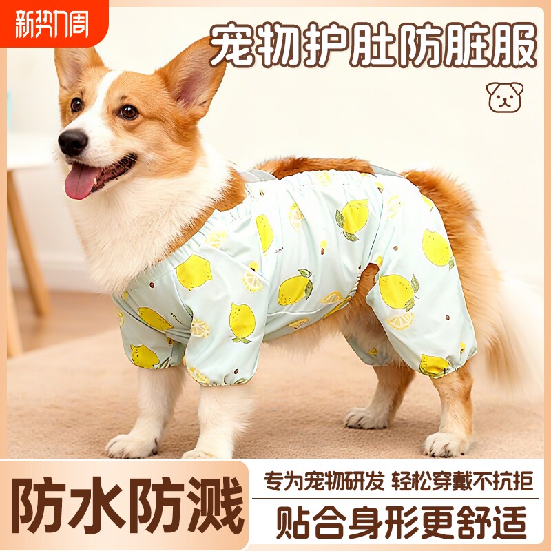 狗狗护肚防脏服外出防尘裤狗腿套四脚设计户外防护狗衣服防水可爱