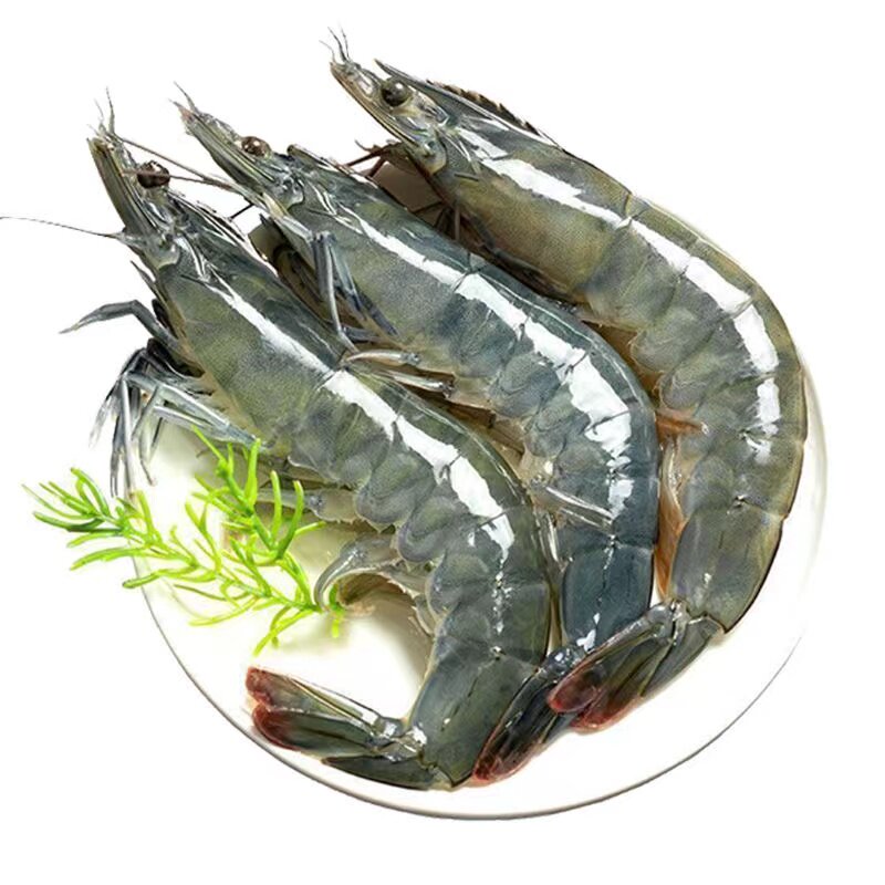 鲜活速冻海鲜冷冻批发新鲜生鲜厄瓜多尔大虾白对虾大虾新鲜海虾