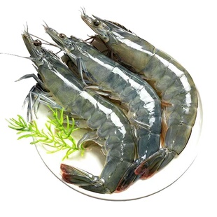 鲜活速冻海鲜冷冻批发新鲜生鲜厄瓜多尔大虾白对虾大虾新鲜海虾