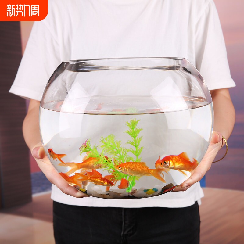 嘉镐玻璃金鱼缸肚径30cm透明加厚桌面鱼缸客厅招财金鱼水缸办公室