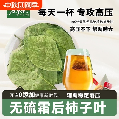 天然霜后柿子叶茶正品中药材