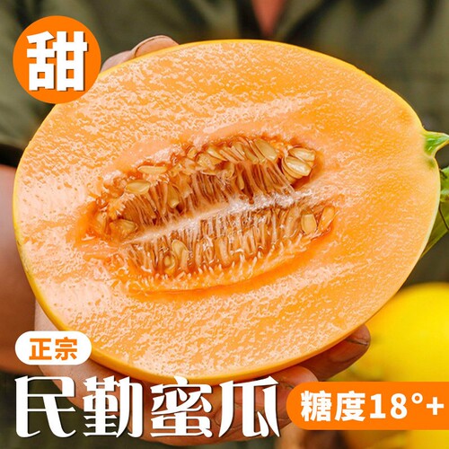 【甘肃直发】头茬鲜果香甜多汁