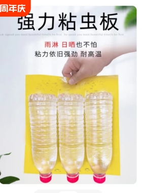 黄板双面粘虫板诱虫蓝板纸贴黄色飞虫小黑飞沾果蝇诱捕器粘板大棚