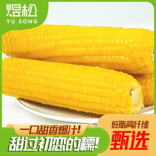 东北吉林2025新鲜煜松黄糯玉米大棒彩箱玉米香甜拉丝苞谷真空装