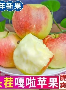 【芭芭农场】陕西嘎啦苹果4.5斤装单果65mm+新鲜香甜可口
