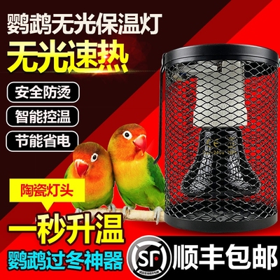 冬天保暖鹦鹉无光陶瓷保温灯