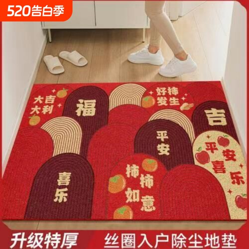 入户门丝圈防滑易打理地垫