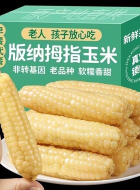 拇指玉米西双版纳小玉米