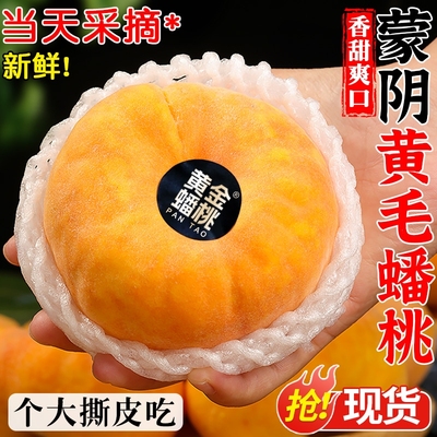 蒙阴黄金毛蟠桃5斤新鲜桃子水果正宗毛扁桃当季纽扣盘甜蜜桃包邮