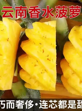 广东徐闻菠萝水果现摘当季香水菠萝新鲜凤梨湛江香脆小菠萝带箱