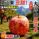 水果大凉山昭通高原丑苹果脆甜苹果汁甜整箱红露苹果凉山多汁现摘