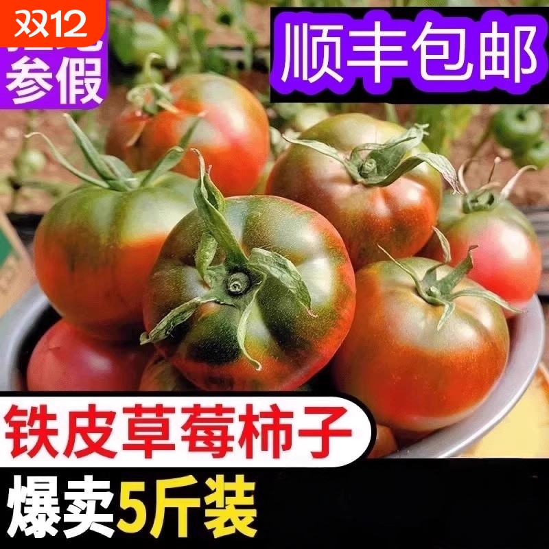 正宗铁皮柿子丹东西红柿东北番茄碱地油柿子新鲜水果5斤包邮